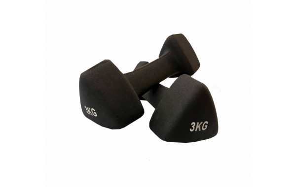 UltraGym UG1001C Свободные веса